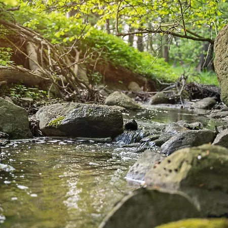 Gut Mühlenhof 5 - Ruhige Mit 3 Schlafzimmern I Terrasse Mit See-&naturblick I Gemeinschaftsgarten I 15 Min Zur Ostsee I Küche I Parkplatz I Waschmaschine I Wlan Kletkamp