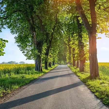 Gut Mühlenhof 5 - Ruhige Mit 3 Schlafzimmern I Terrasse Mit See-&naturblick I Gemeinschaftsgarten I 15 Min Zur Ostsee I Küche I Parkplatz I Waschmaschine I Wlan Apartamento