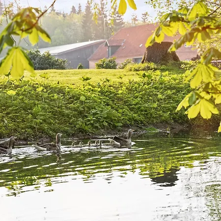 Gut Mühlenhof 5 - Ruhige Mit 3 Schlafzimmern I Terrasse Mit See-&naturblick I Gemeinschaftsgarten I 15 Min Zur Ostsee I Küche I Parkplatz I Waschmaschine I Wlan Apartamento *